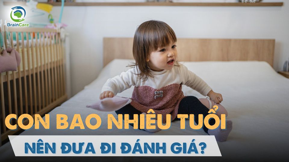 con-bao-nhieu-tuoi-thi-nen-dua-di-danh-gia